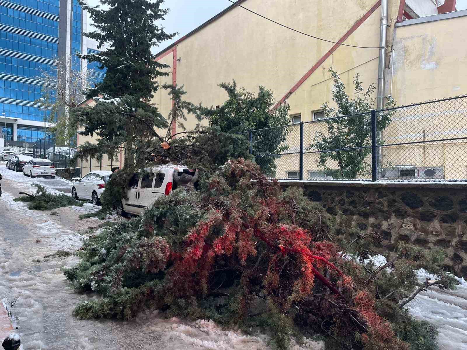 Kökünden sökülen ağaç park halindeki aracın üzerine devrildi

