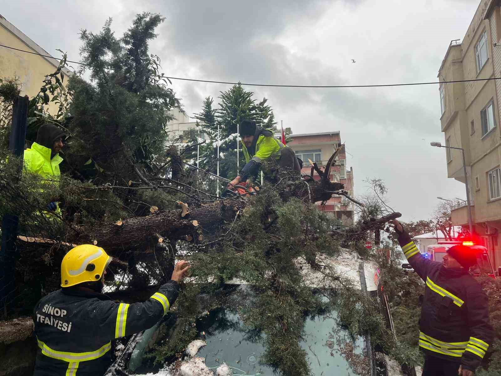 Kökünden sökülen ağaç park halindeki aracın üzerine devrildi
