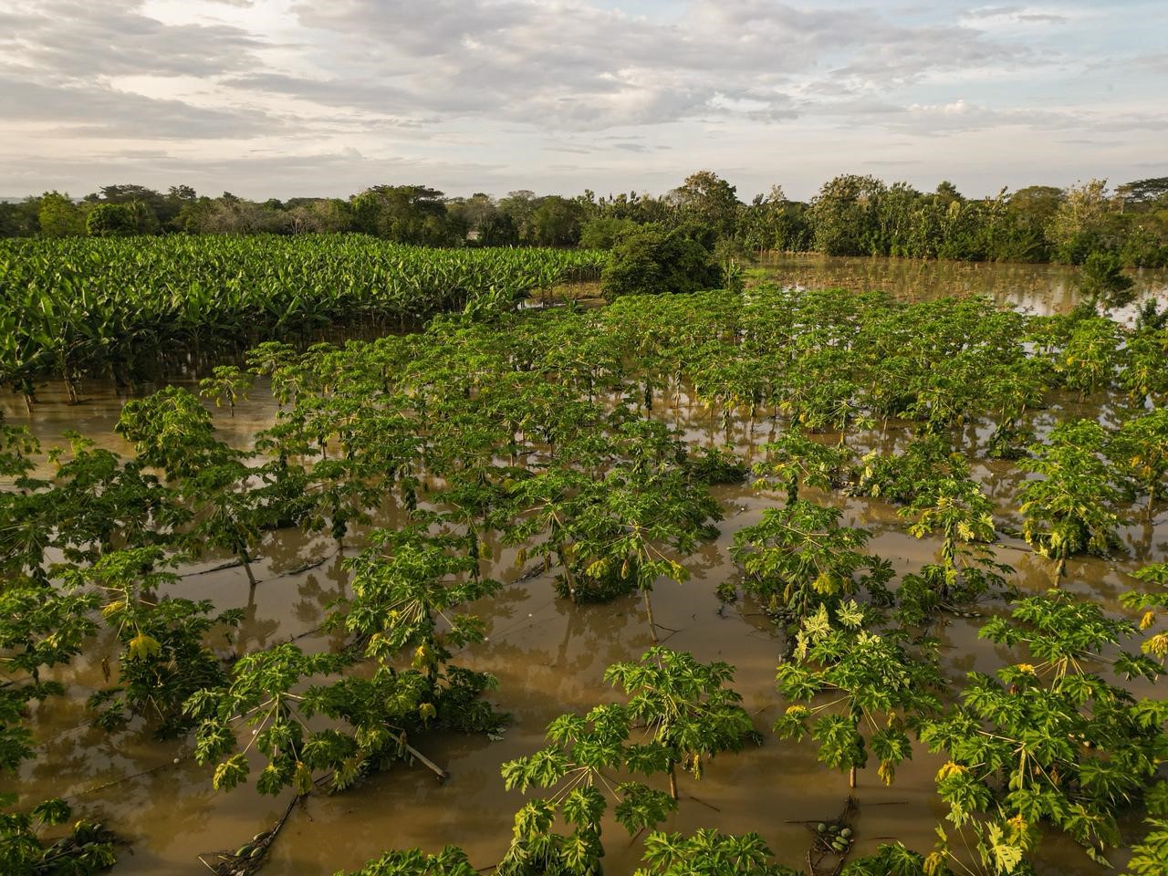 Kolombiya’da ülke genelindeki sellerde 6 kişi hayatını kaybetti
