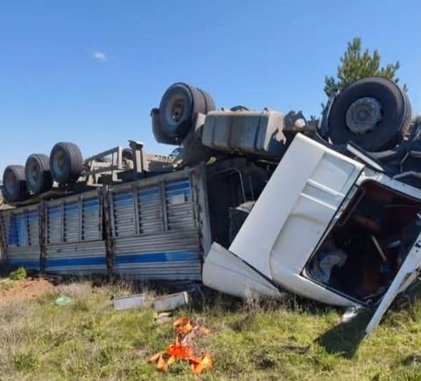 Kontrolden çıkan kamyon devrildi, sürücüsü yaralandı
