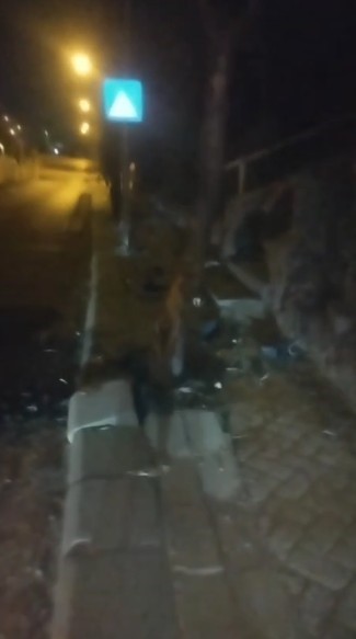 Kontrolden çıkan otomobil ağaca çarparak durabildi
