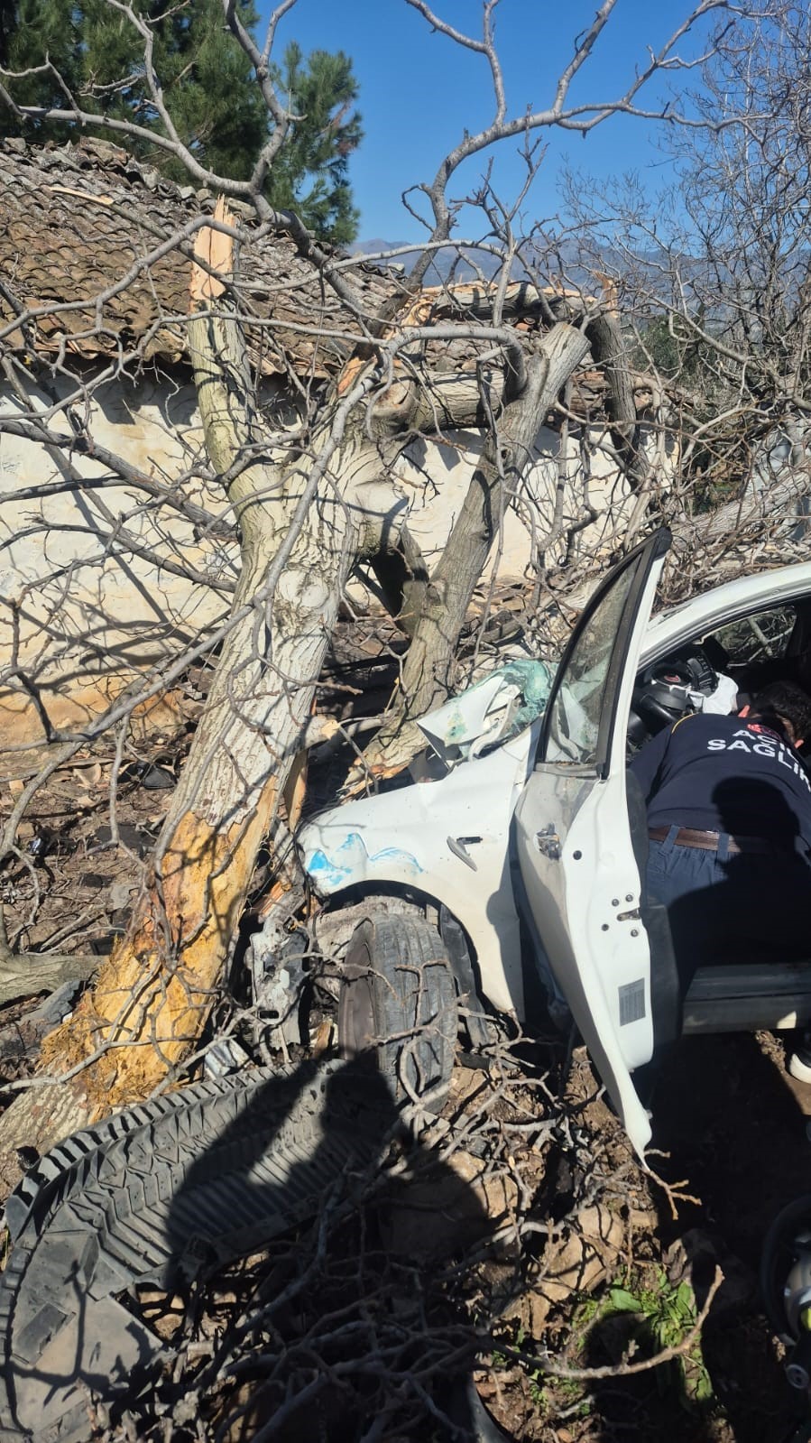 Kontrolden çıkan otomobil ağaçlara ok gibi saplandı: 2 ölü, 1 ağır yaralı
