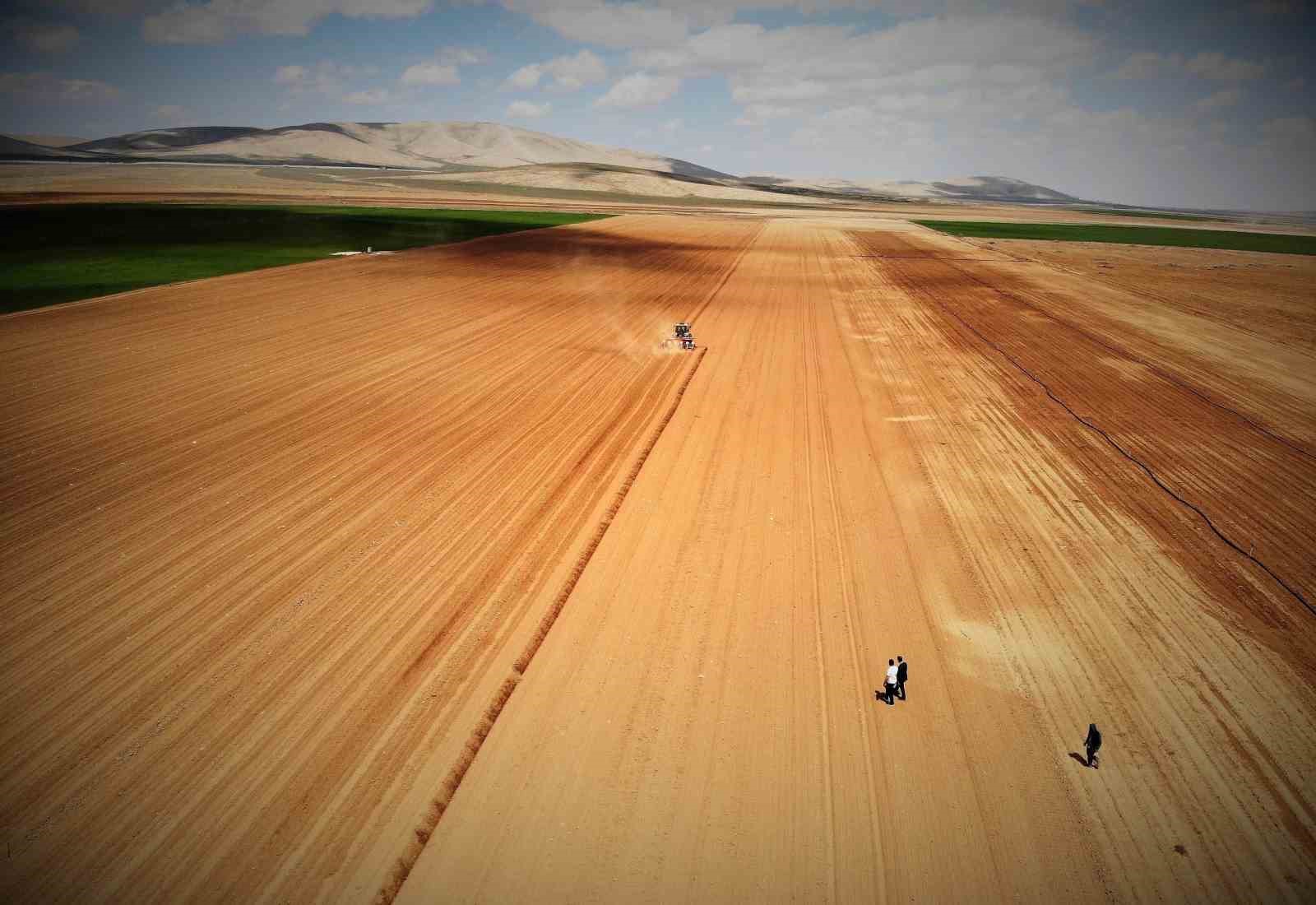 Konya Ovası’nda yağışlar rekolte beklentisini arttırdı
