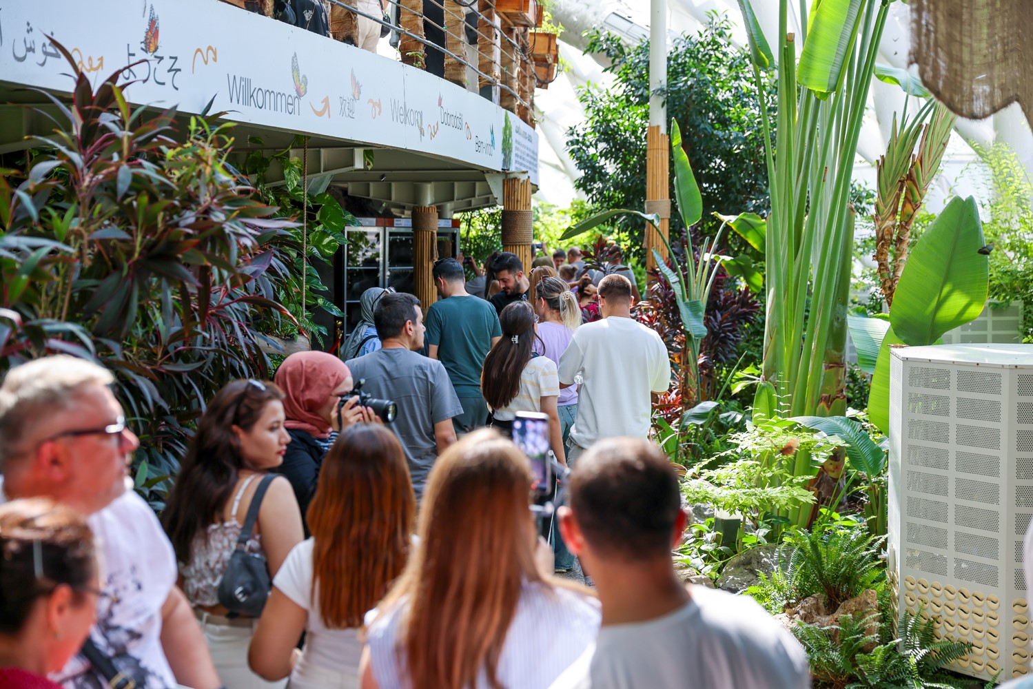 Konya Tropikal Kelebek Bahçesi 2025’te 603 bin, toplamda 4 milyon 136 bin 888 ziyaretçiyi ağırladı
Konya Tropikal Kelebek Bahçesi 2025’te 603 bin, toplamda 4 milyon 136 bin 888 ziyaretçiyi ağırladı