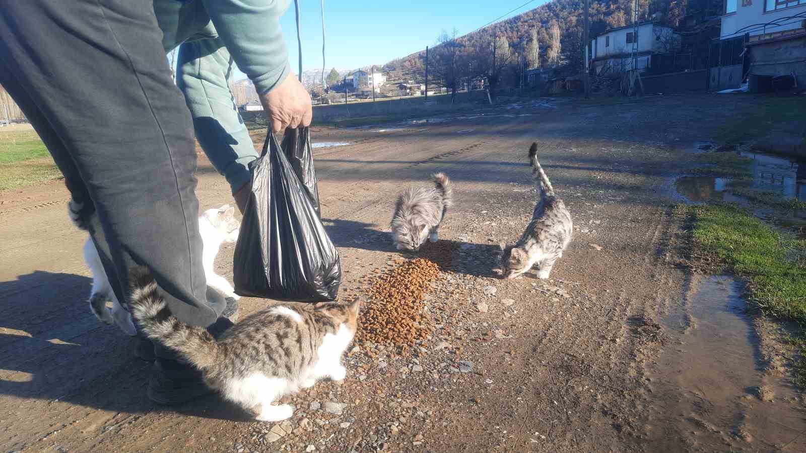 Konya’da aç kalan kediler için 30 kilometre yol gitti
