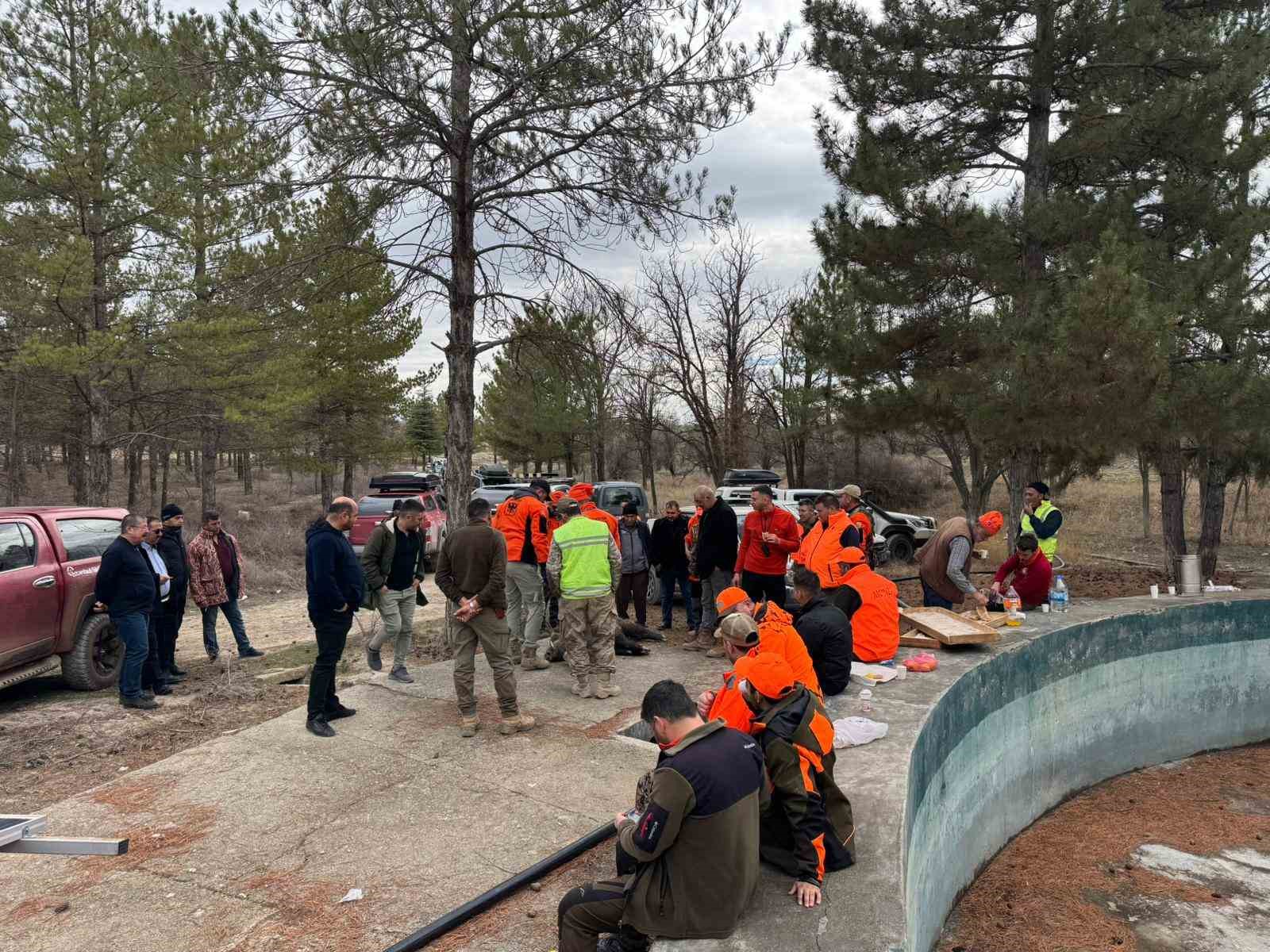 Konya’da yaban domuzlarına sürek avı düzenlendi
