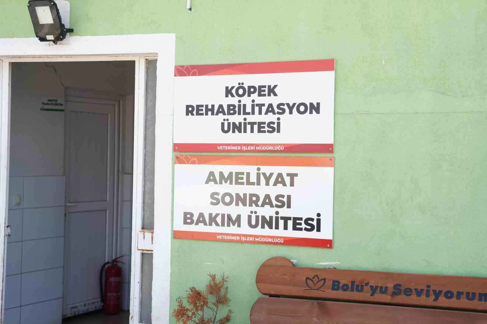 Köpeği ezen sürücü serbest bırakıldı
