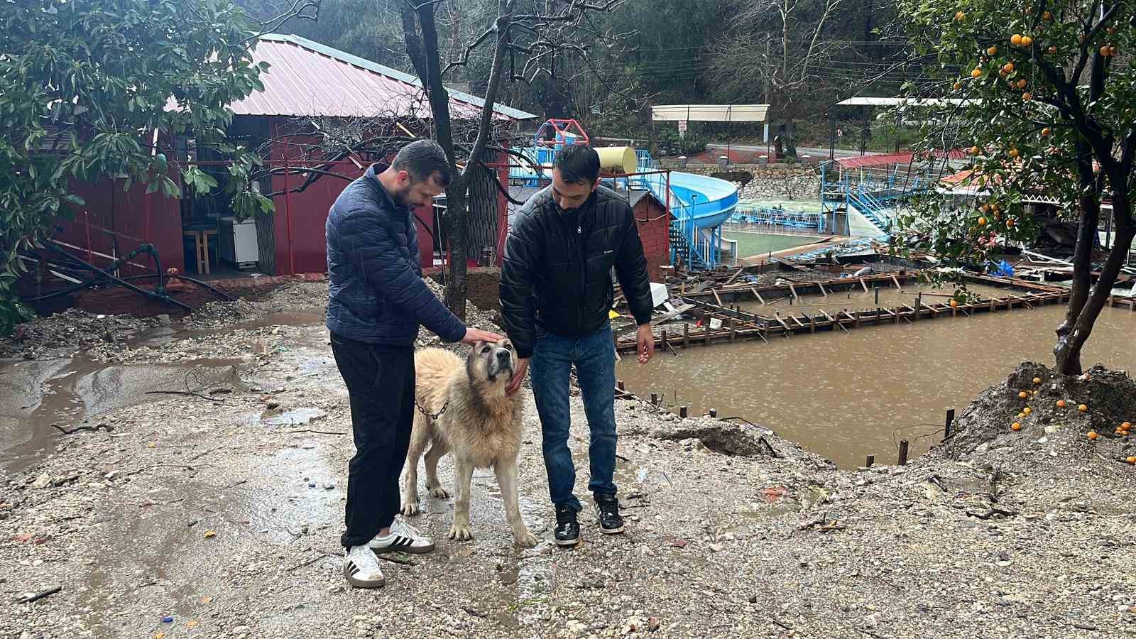 Köpeğini sel sularından kurtaran sahibi o anları anlattı
