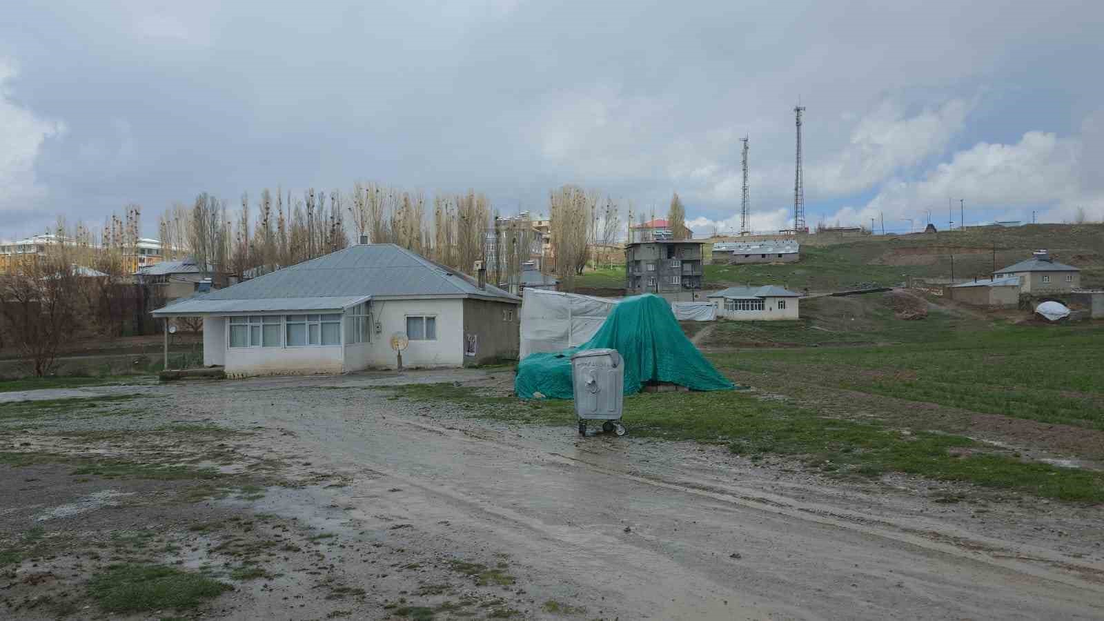 Köpek dehşetinin görüntüleri ortaya çıktı
