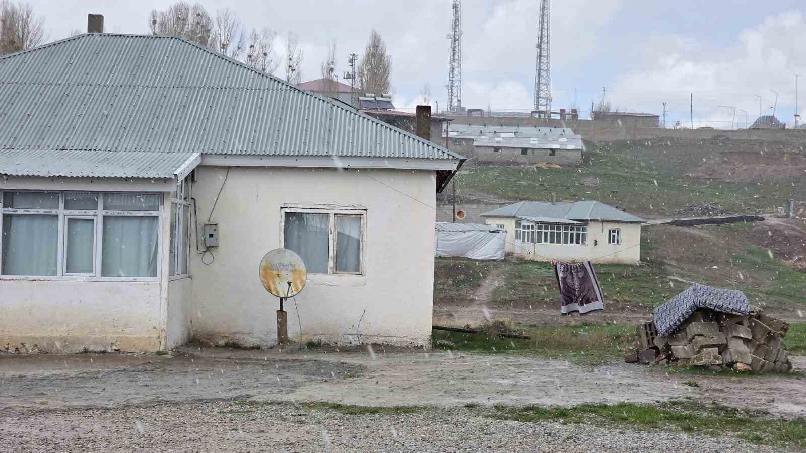 Köpek dehşetinin görüntüleri ortaya çıktı
