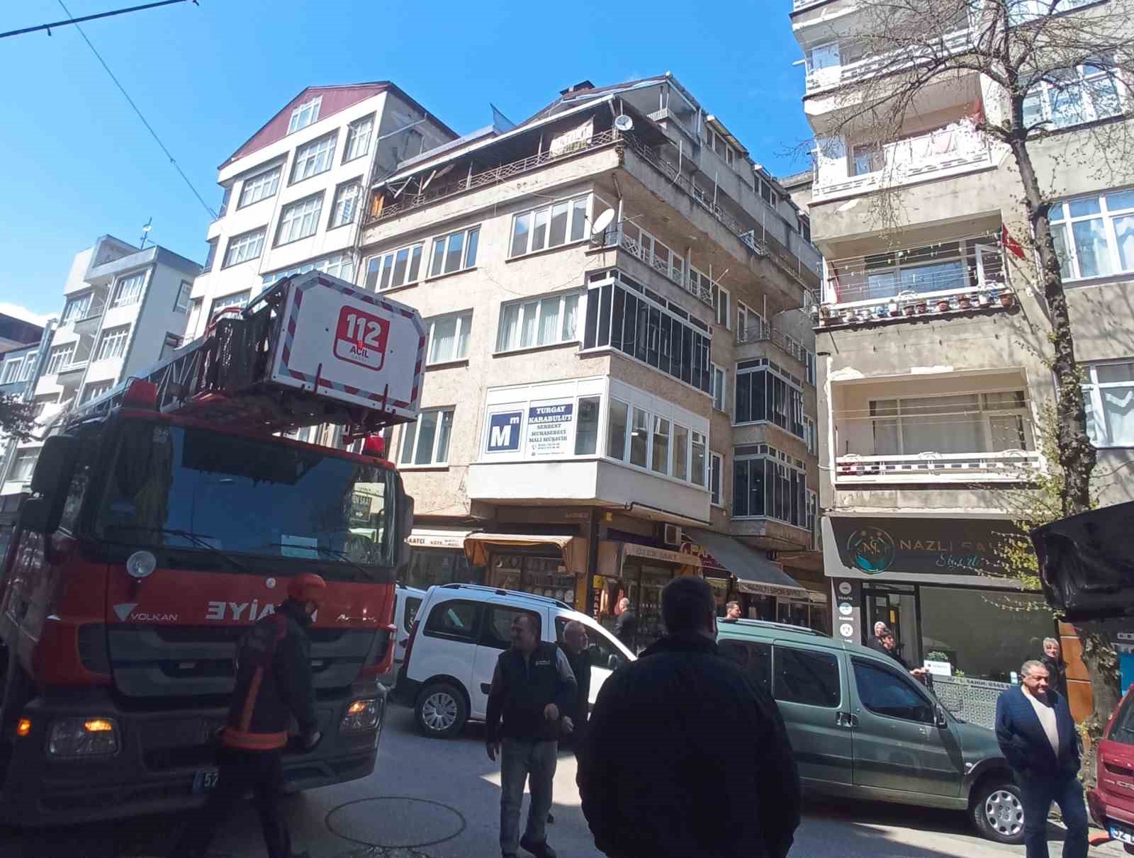 Köpeklerden kaçan kedinin imdadına itfaiye yetişti
