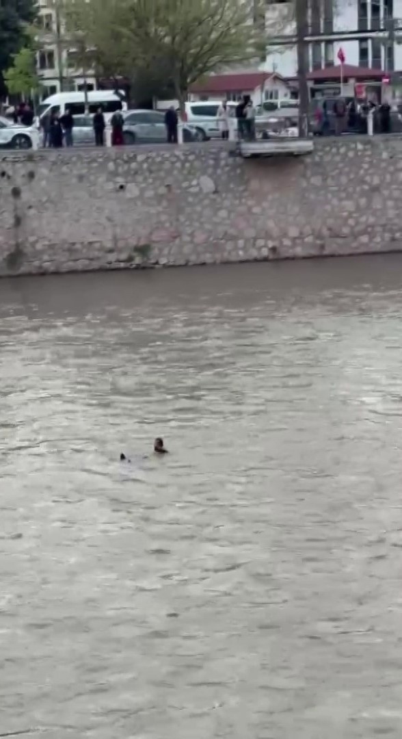 Köprüden nehre atlayan şahsı ekipler kurtardı: O anlar kamerada
