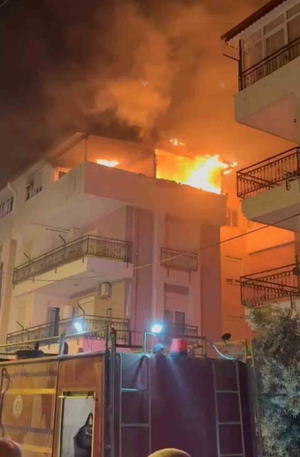 Korkutan yangında mahsur kalan kediyi itfaiye kurtardı
