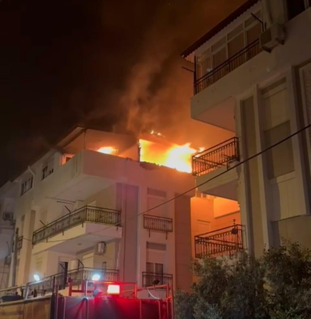 Korkutan yangında mahsur kalan kediyi itfaiye kurtardı
