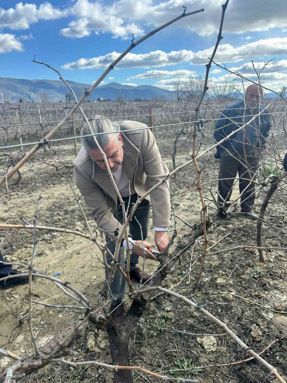 Korkuteli’nde çiftçilere budama eğitimi
