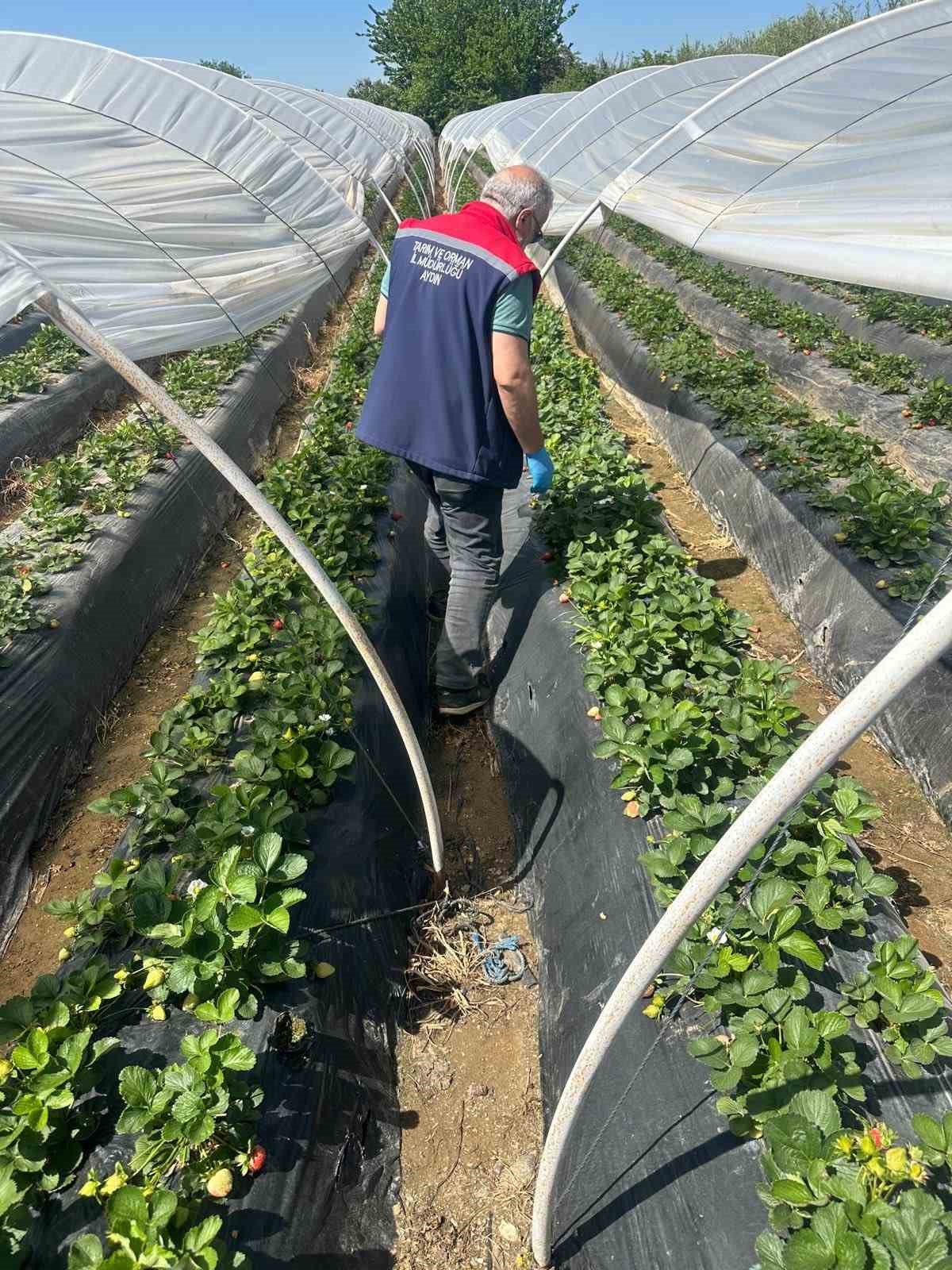 Köşk’ten Sultanhisar’a çapraz denetim
