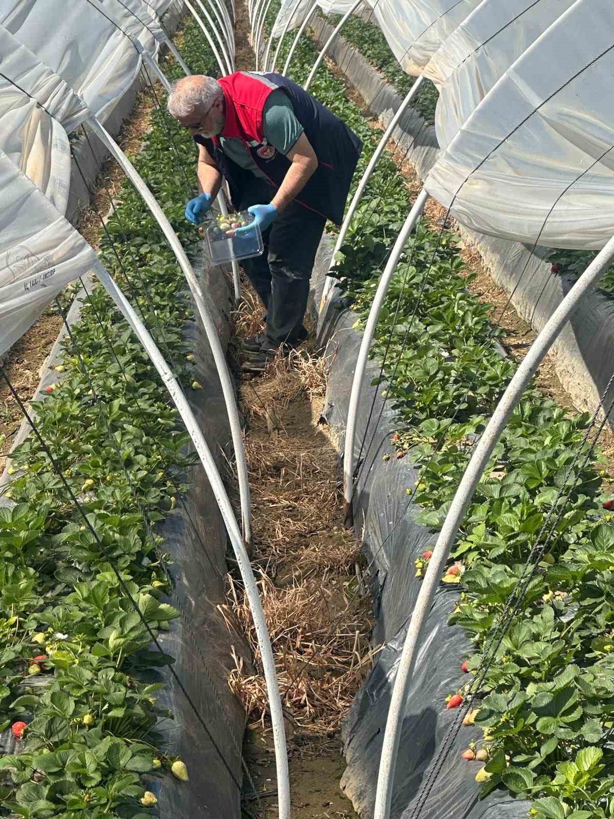 Köşk’ten Sultanhisar’a çapraz denetim
