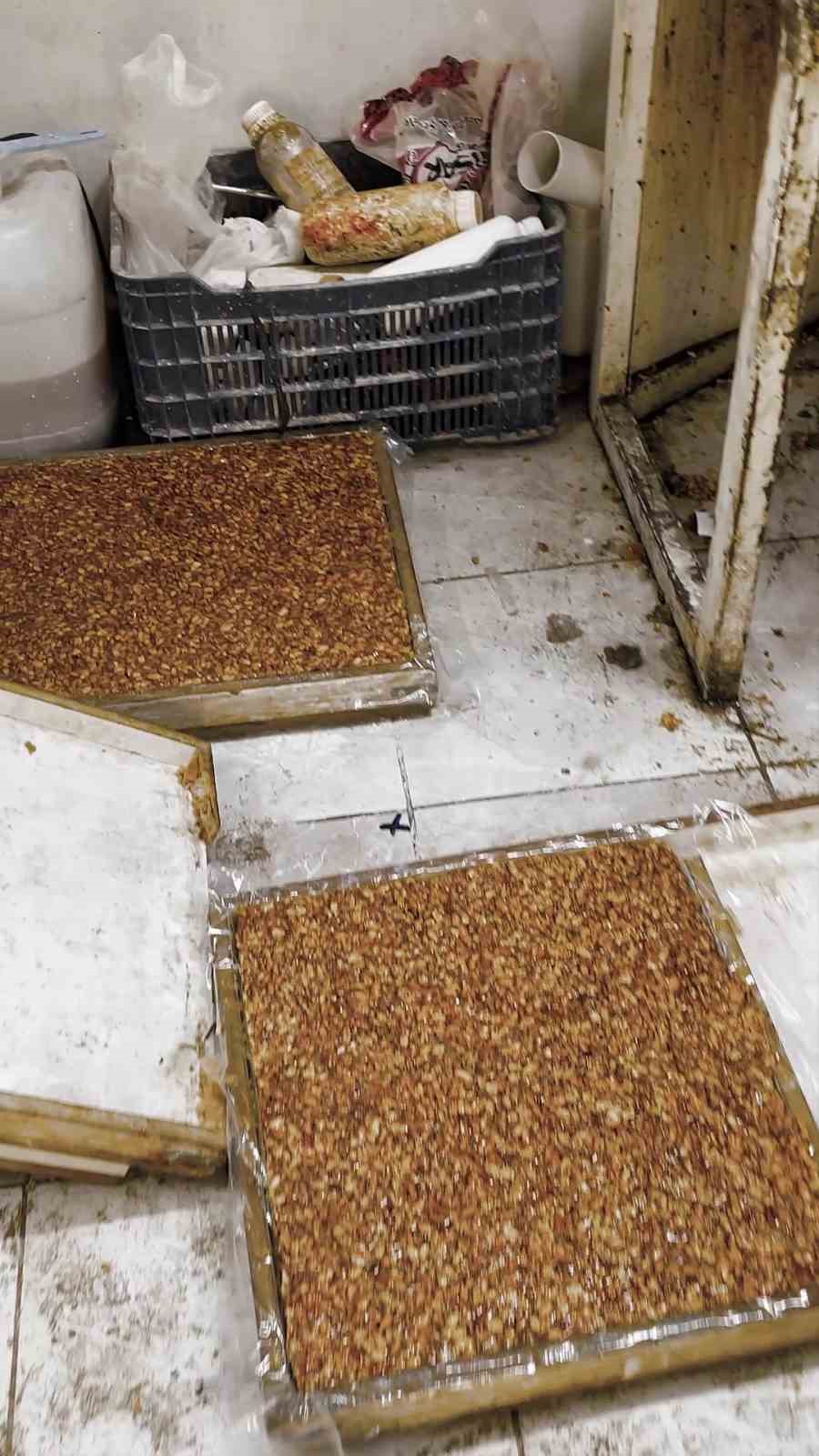 Kötü koku üzerine girilen evde mide bulandıran şartlarda lokum ve cezerye üretildiği ortaya çıktı
