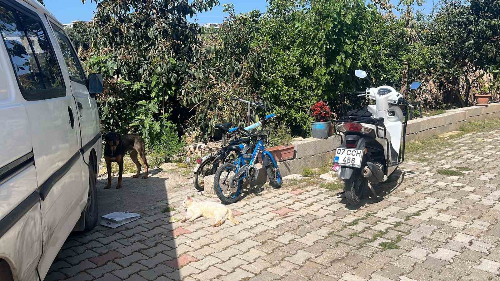 Kötü şartlarda evde tutulan hayvanlar, gençlerin tepkisi sonrası kurtarıldı
