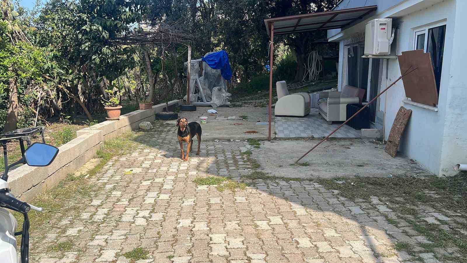 Kötü şartlarda evde tutulan hayvanlar, gençlerin tepkisi sonrası kurtarıldı
