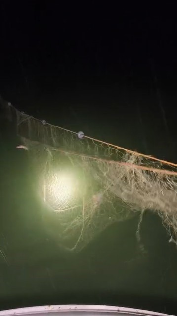 Kovada Gölü’nde yasa dışı avcılığa geçit yok: Kaçak avcılıkta kullanılan 7 çuval ağa el konulurken, balıklar tekrar göle salındı
