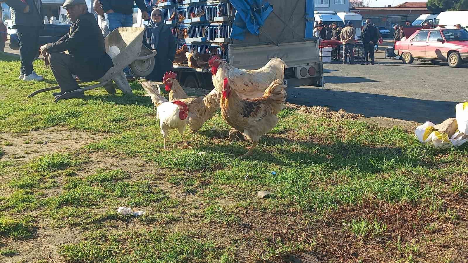 Köy köy gezerek canlı tavuk satıyor
