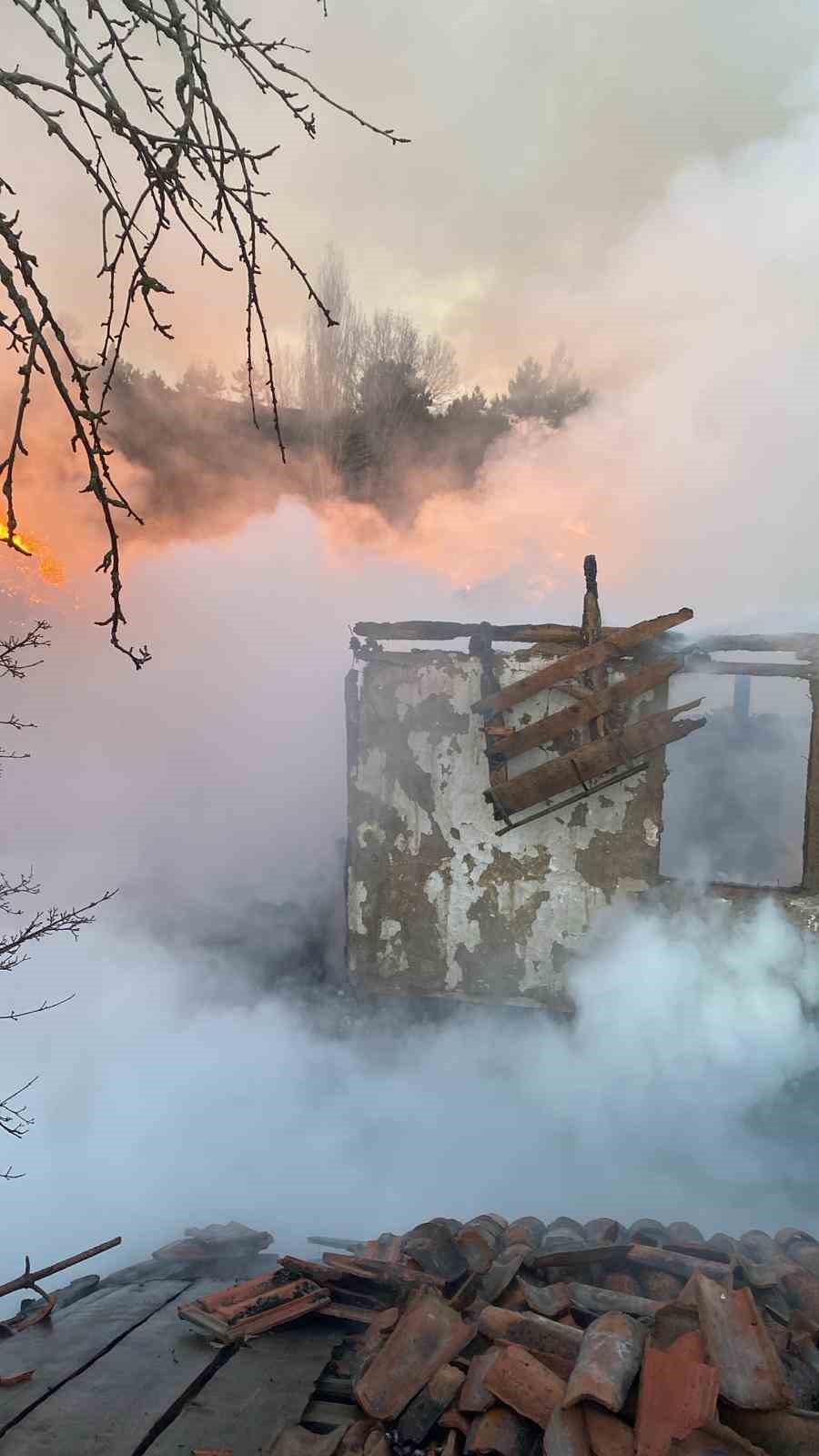 Köyde korkutan yangın: Evler ve ahırlar küle döndü
