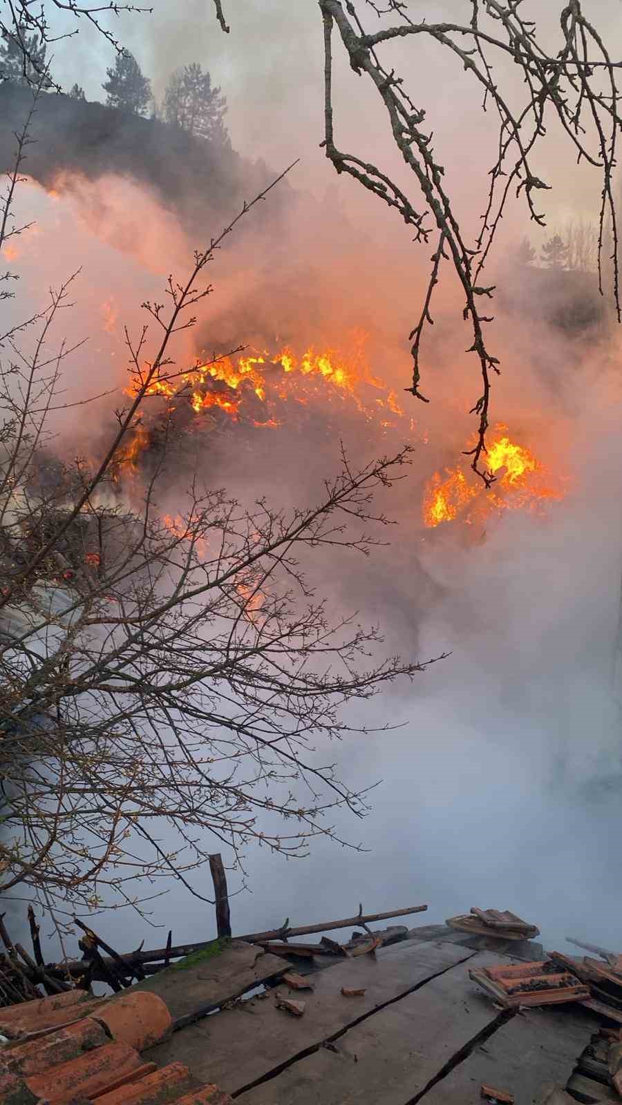 Köyde korkutan yangın: Evler ve ahırlar küle döndü
