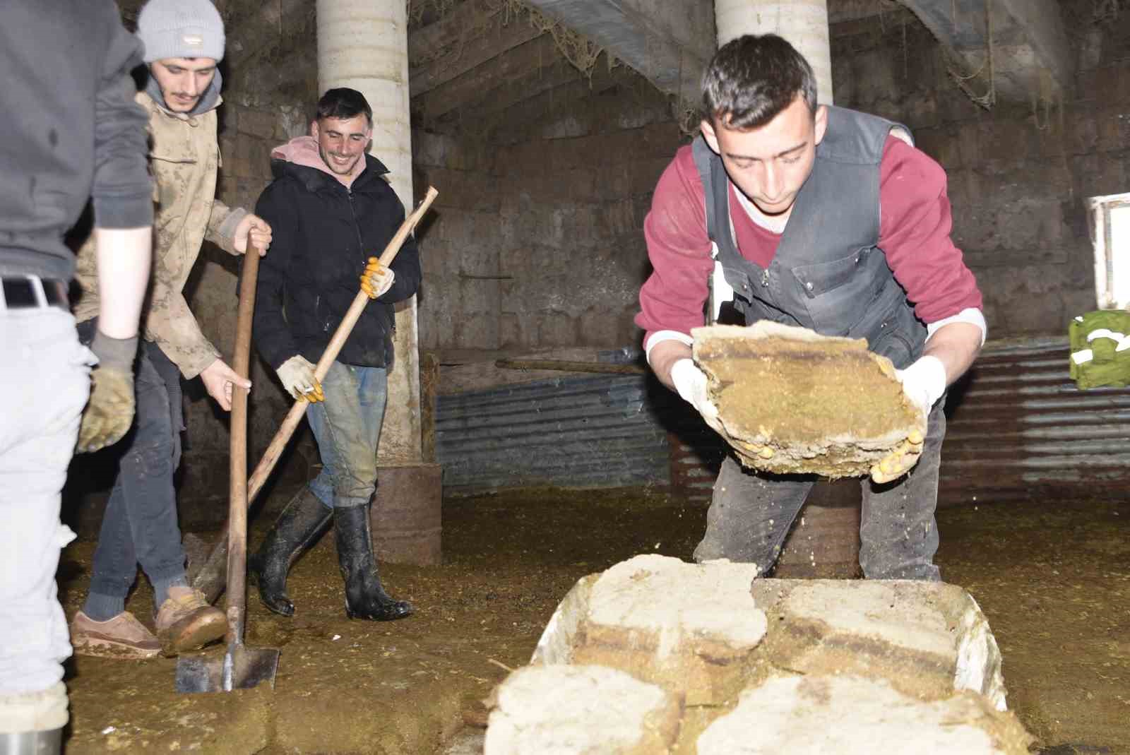 Köylülerin gelecek kış telaşı şimdiden başladı
