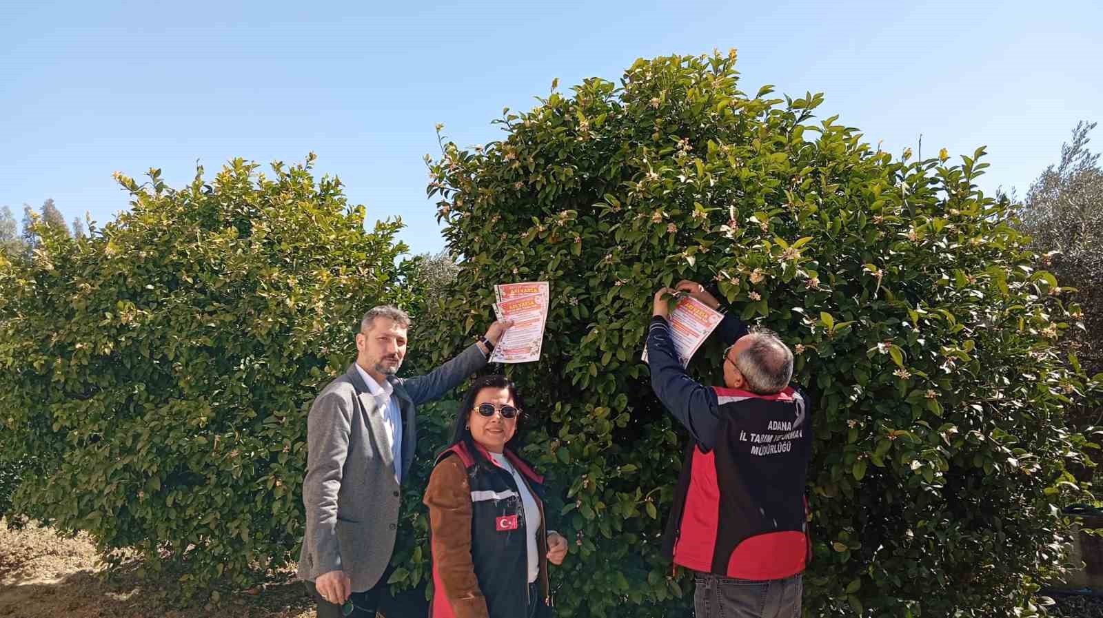 Kozan’da arıların korunmasına yönelik çalışma başlatıldı
