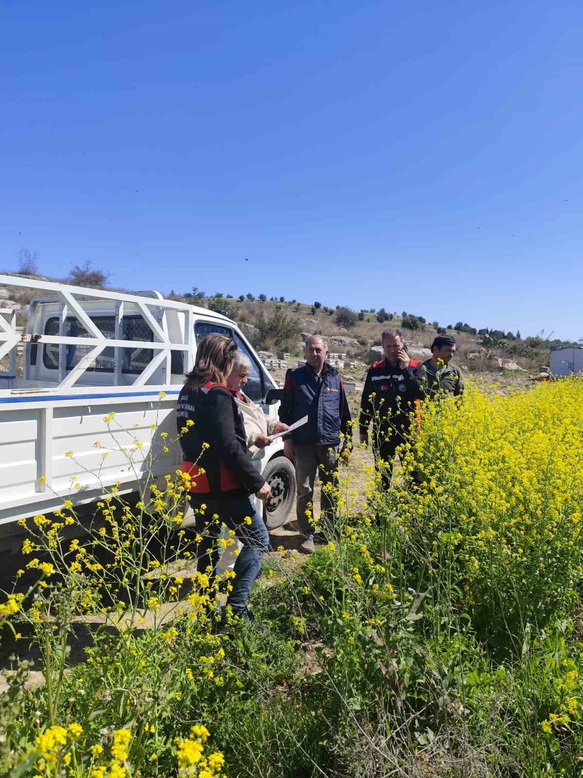 Kozan’da arıların korunmasına yönelik çalışma başlatıldı
