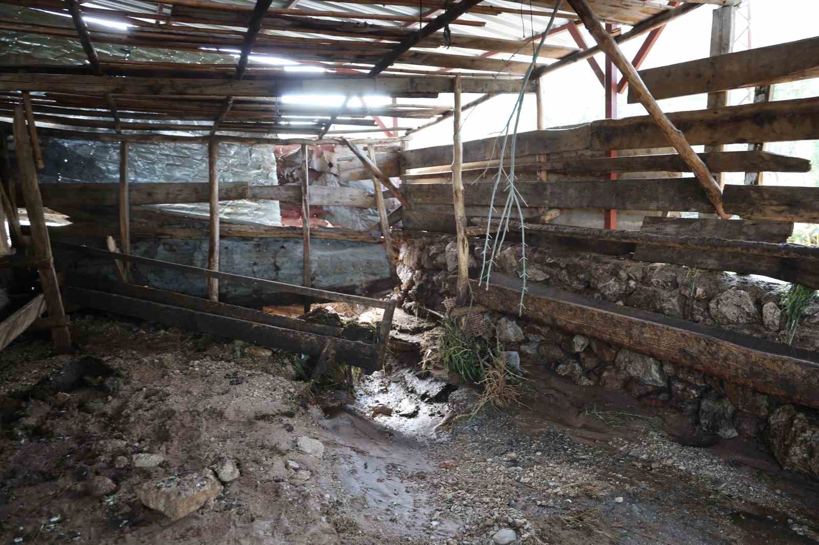 Kozan’daki selde hayvanları telef olan kadın: "Bir anda sel geldi, ahırın üstünü aştı"
