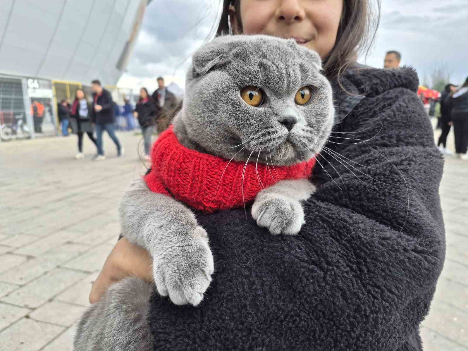 Küçük çocuk Eskişehirspor maçına kedisi ile geldi
