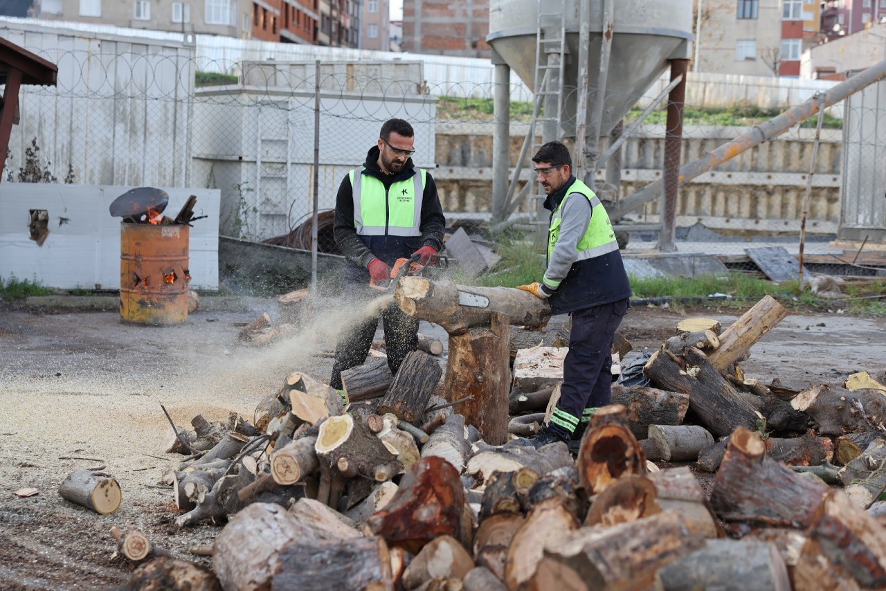 Küçükçekmece’de budanan ağaçlar, ihtiyaç sahiplerine yakacak oluyor

