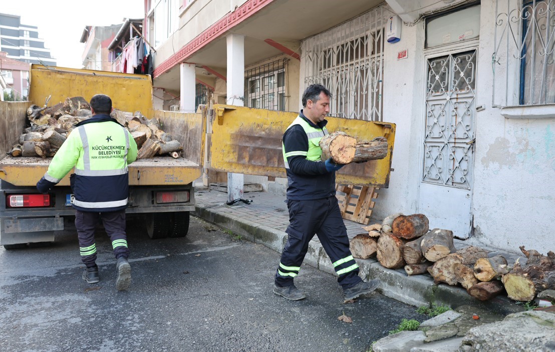 Küçükçekmece’de budanan ağaçlar, ihtiyaç sahiplerine yakacak oluyor
