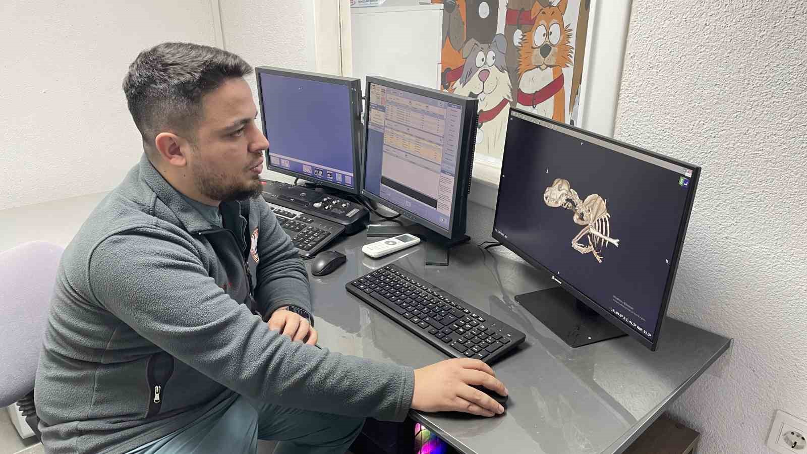 Kulağından beynine tümör yayılan sokak köpeği zorlu operasyonla hayata tutundu
Kulağından beynine tümör yayılan sokak köpeği zorlu operasyonla hayata tutundu