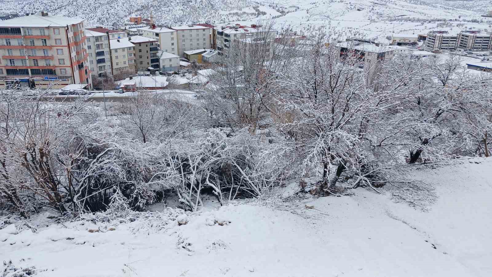Kulp beyaza büründü
