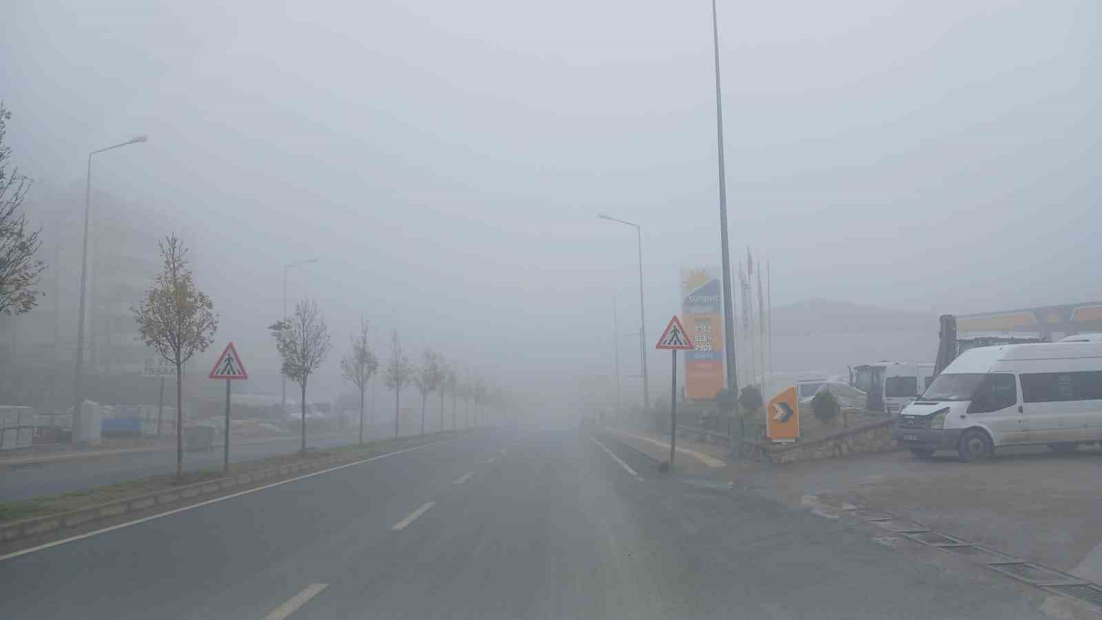 Kulp ilçesinde yoğun sis etkili oldu
