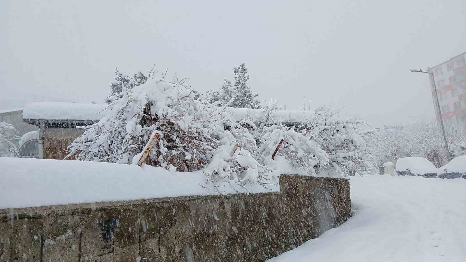 Kulp’ta 10 yılın en yoğun kar yağışı: Araçlar kar altında kaldı
Kulp’ta 10 yılın en yoğun kar yağışı: Araçlar kar altında kaldı