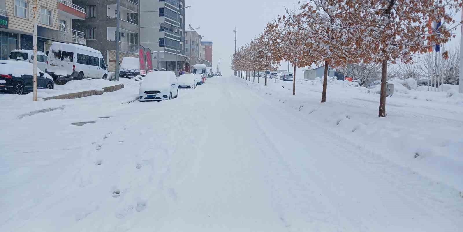 Kulp’ta beyaz esaret
