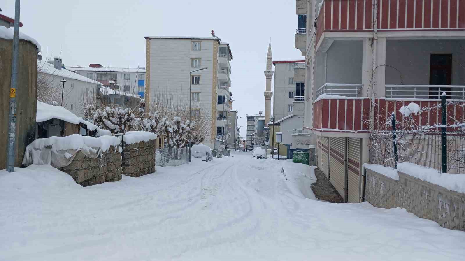 Kulp’ta beyaz esaret
