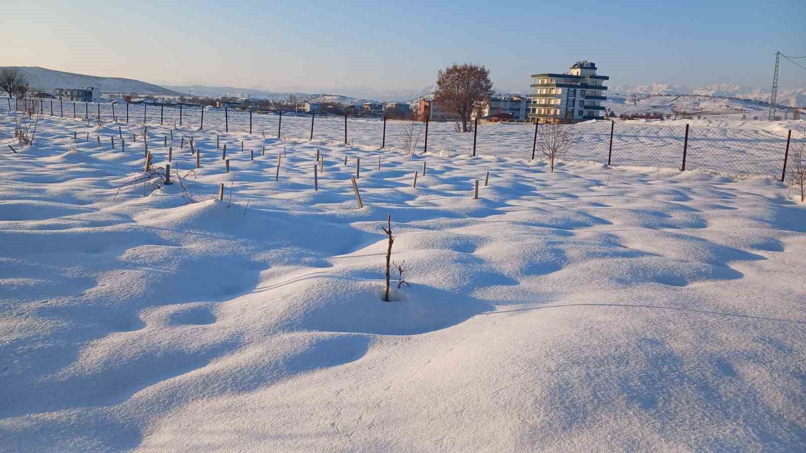 Kulp’ta kar yağışı çiftçiye umut oldu
