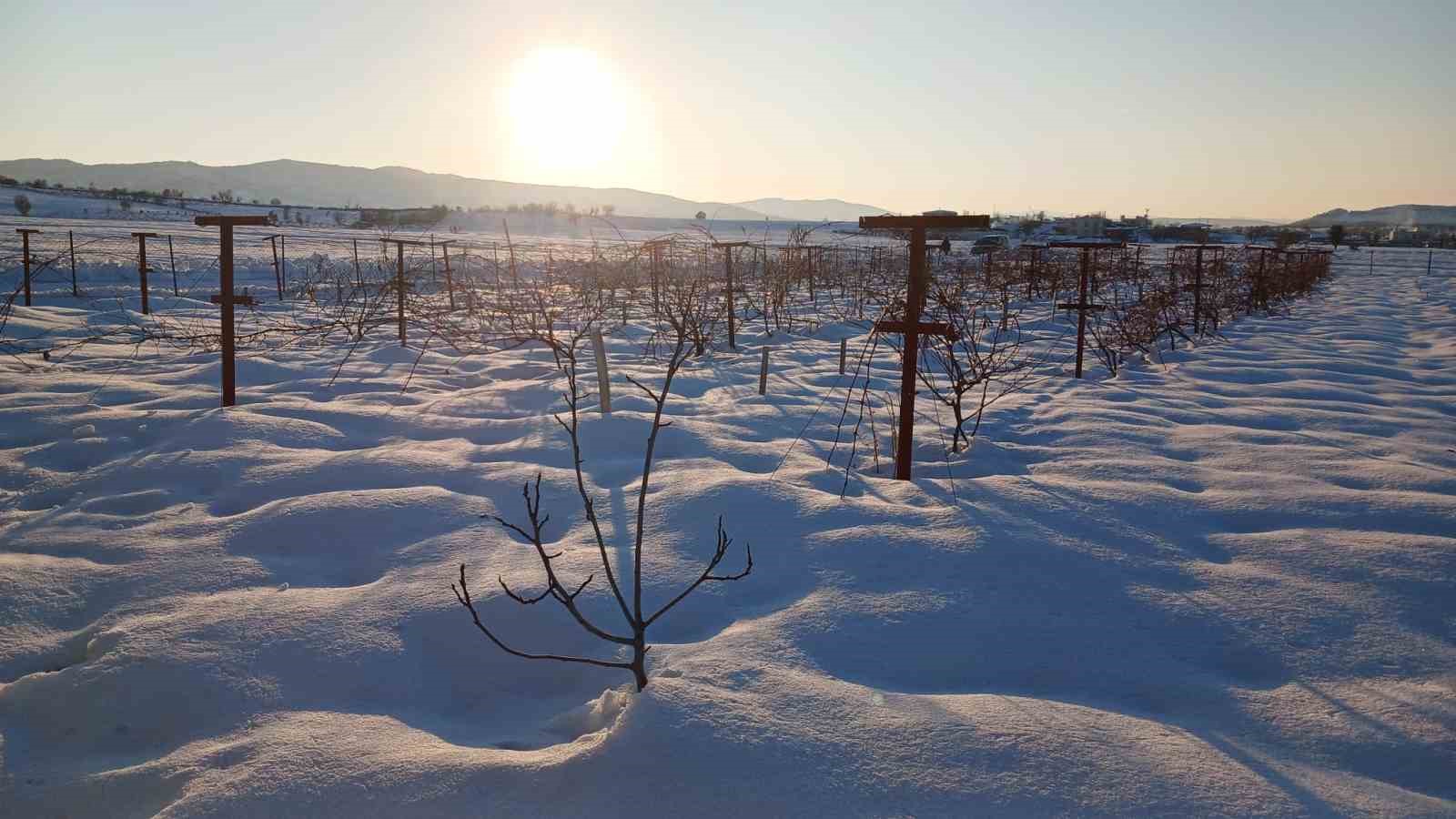 Kulp’ta kar yağışı çiftçiye umut oldu
