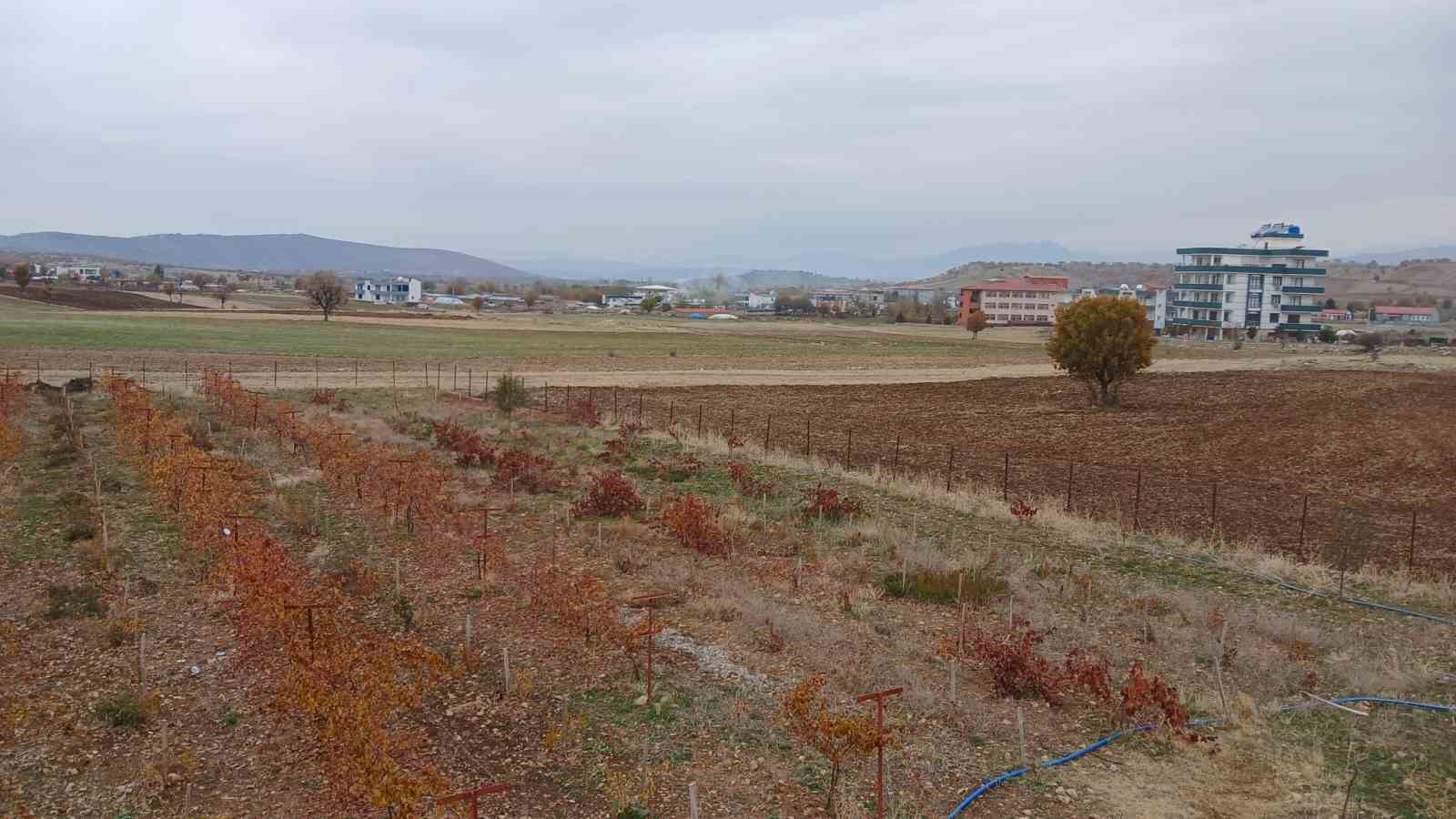 Kulp’ta kar yağışı çiftçiye umut oldu
