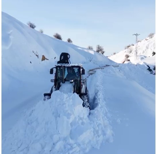 Kulp’ta kar yağışı görsel şölen oluşturdu
Kulp’ta kar yağışı görsel şölen oluşturdu