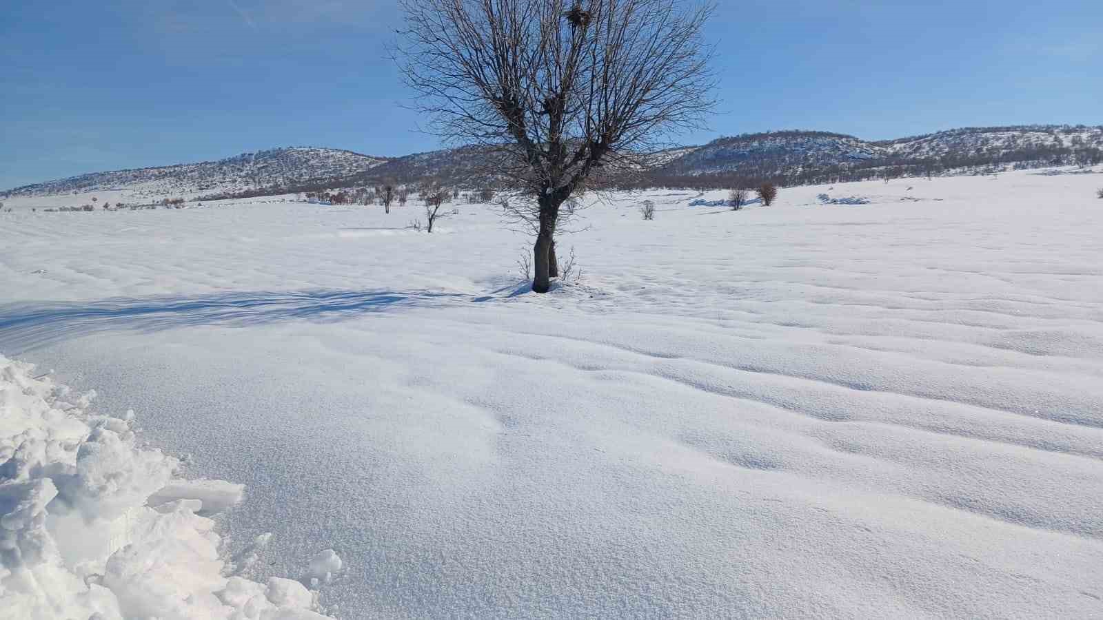 Kulp’ta kar yağışı görsel şölen oluşturdu
Kulp’ta kar yağışı görsel şölen oluşturdu