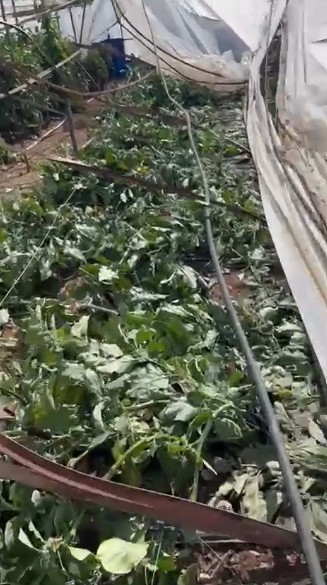 Kumluca’da hortum seraları vurdu, 10 dönüm alan zarar gördü
