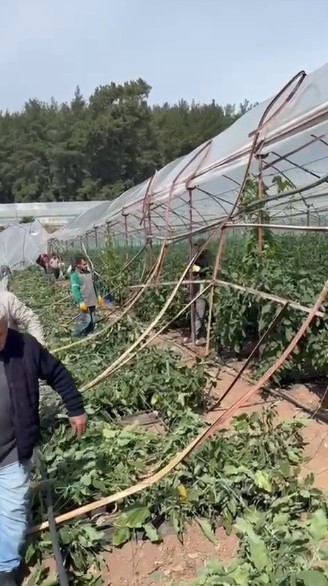 Kumluca’da hortum seraları vurdu, 10 dönüm alan zarar gördü
