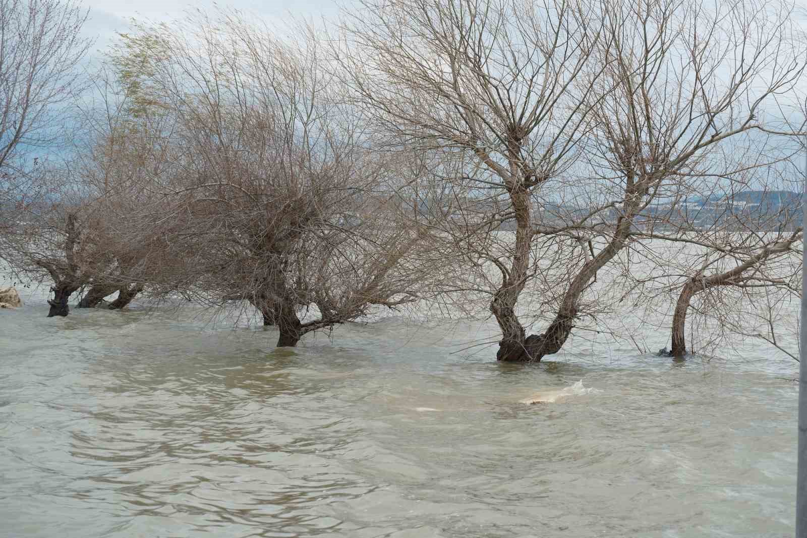 Kuraklıkla boğuşuyordu...Yağışlarla yeniden küçük Venedik oldu
Kuraklıkla boğuşuyordu...Yağışlarla yeniden küçük Venedik oldu