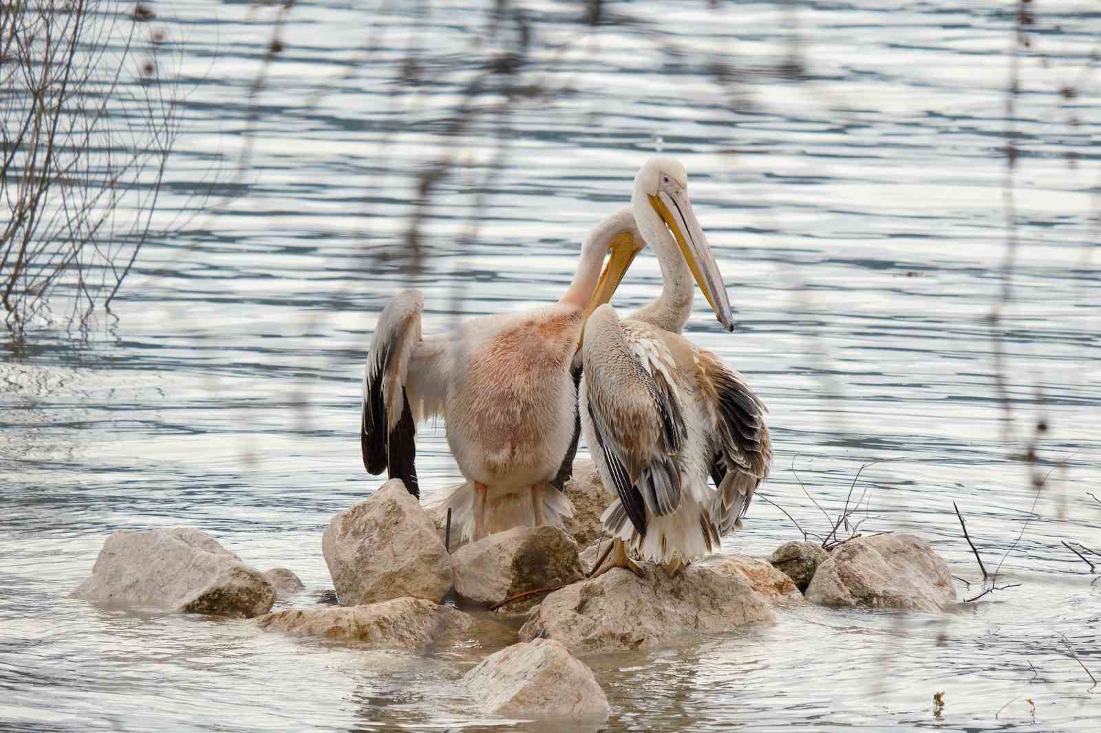 Kuraklıkla boğuşuyordu...Yağışlarla yeniden küçük Venedik oldu
Kuraklıkla boğuşuyordu...Yağışlarla yeniden küçük Venedik oldu